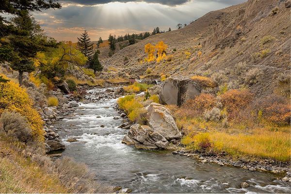Jones, Adam 아티스트의 Gardiner River-Yellowstone National Park-Wyoming작품입니다.